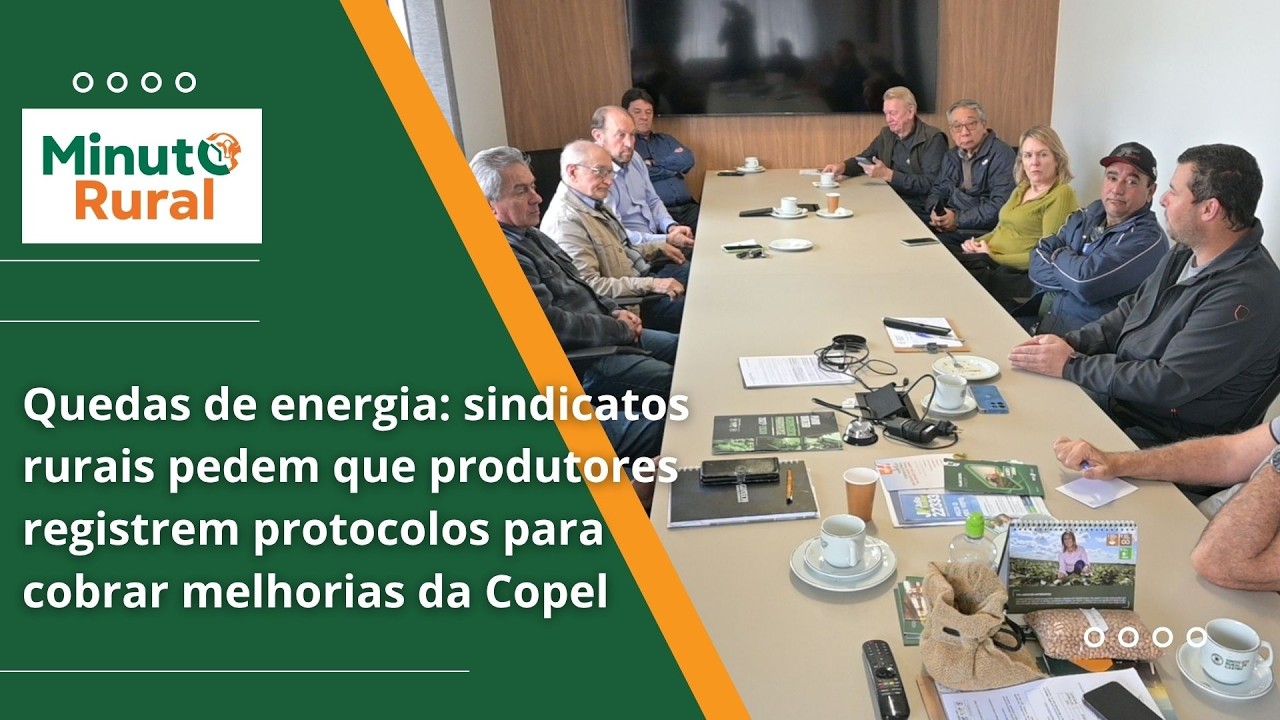 Quedas de energia: registro de protocolos é importante para cobrar melhorias da Copel