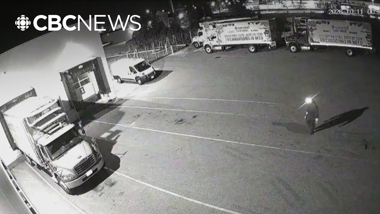 Video: Toronto police arrest Oakville man in Second Harvest catalytic converter thefts
