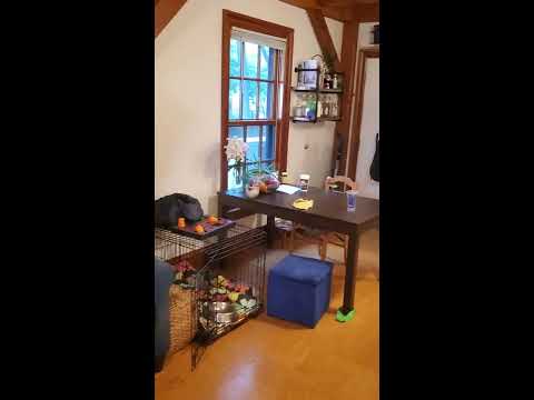 2 Chauncy St #1, Cambridge, MA. 02138