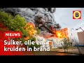 Vlammen uit het dak bij Huijbregts Groep in Helmond | Omroep Brabant