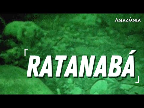 Ratanabá - the Lost City in the Amazon