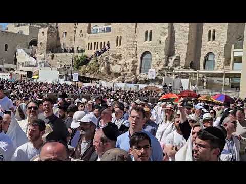 Hallel Songs Blessings 🙌 from Kohanim at the kotel Jerusalem