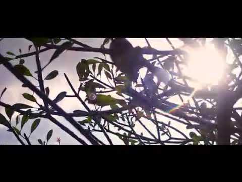 Suksma Meme Lan Bapa - Tude Hendra