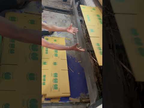 Corrugated Mango Box