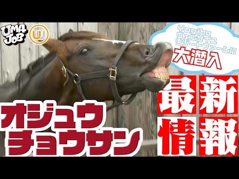 ドイツテレビ賞: ジョコ・ヴィンターシャイトが今夜の受賞者