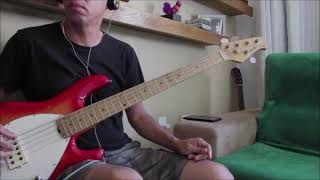 Salmonella Dub - Slide - Bass cover