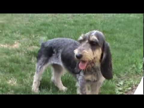 {$row[$i]['name'], ENT_QUOTES,'utf-8'); ?>