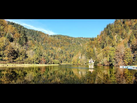 BIAUFOND LA CHAUX-DE-FONDS ( SUISSE )