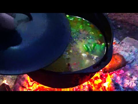 30 MINUTE DUTCH OVEN RECIPE | Easy Chicken and Dumplings