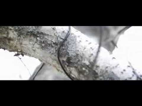 Joniveli - Kaikki on sanottu