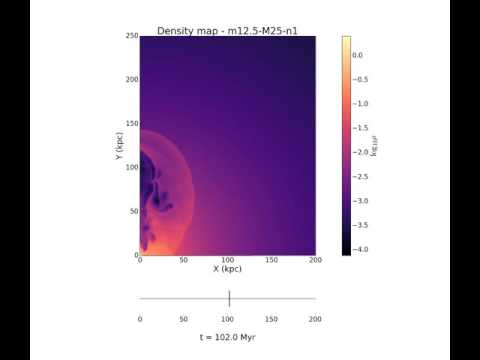 m12 5 M25 n1 density