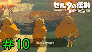 【実況】見落としが多い勇者の冒険part10【ブレスオブザワイルド】