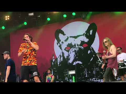 Roope Salminen ja koirat - freestylerap