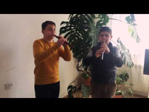 Sari axjik duduk Narek Hayrapetyan Tigran Tigranyan