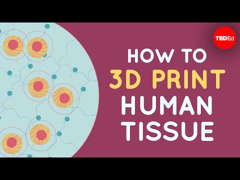 How Printing Human Tissue and Organs Works