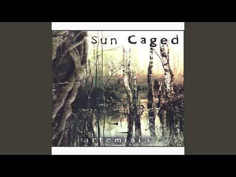 Departing Word - Sun Caged