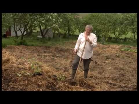 Ember- és környezetkímélő kertművelés