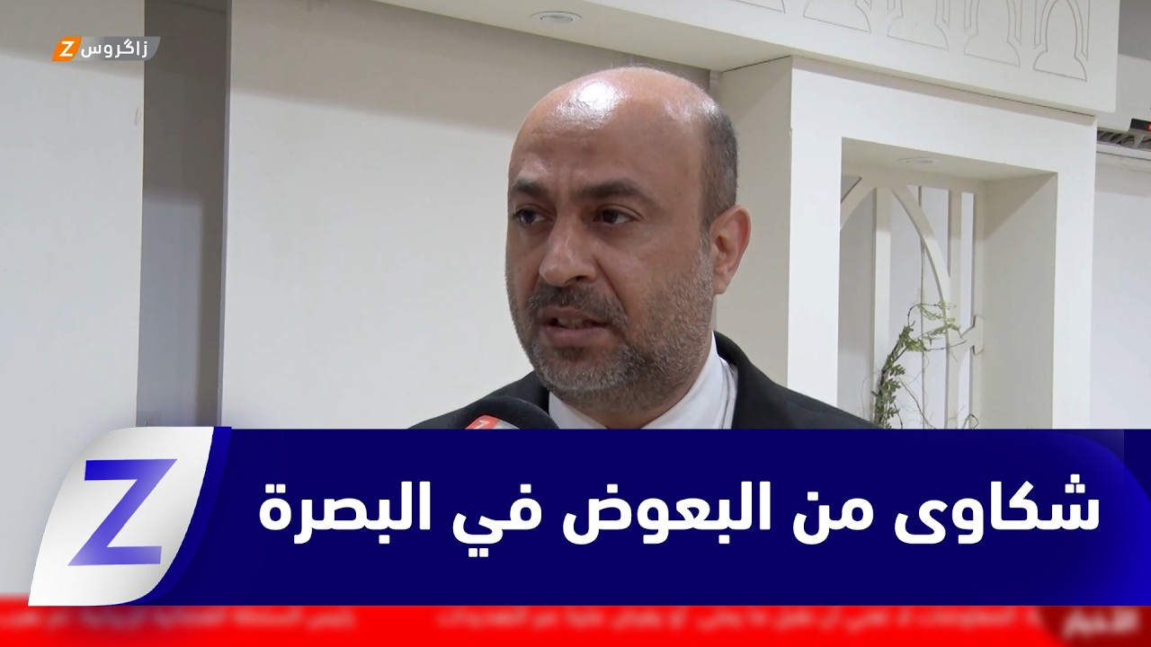 فيديو | البصرة..   الأهالي يشكون من حشرة البعوض ويطالبون بمكافحتها