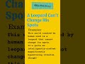 A LEOPARD CAN T CHANGE HIS SPOTS