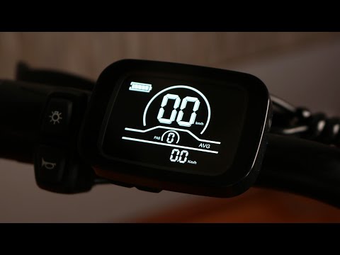 Engwe M20 - Display, Settings & Functions