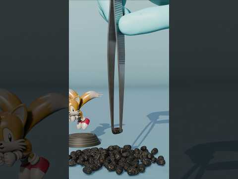 Rat Poop Vs Elephant Poop