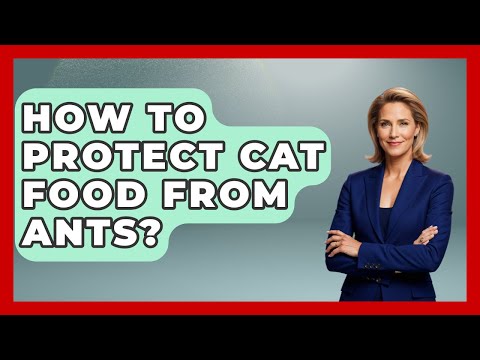 How To Protect Cat Food From Ants? - Insects and Invaders