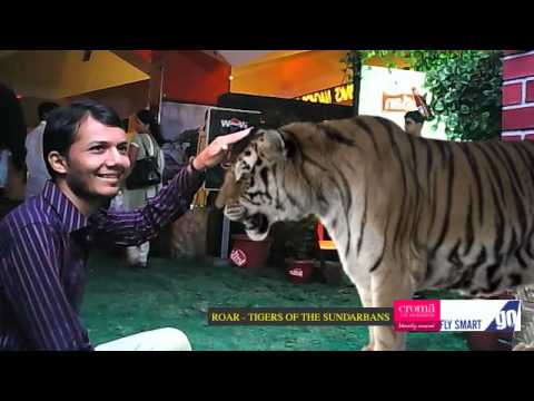 Viresh Face To Face With The Tigers Of The Sundarbans