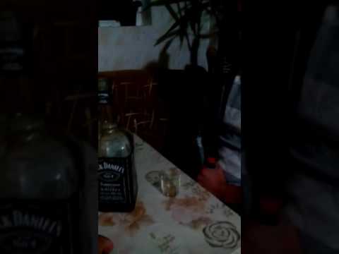 Мишаня Спор Jack Daniel's