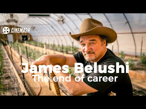 James Belushi.The end of career