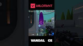 VALORANT Clip06「Perl 4ce」
