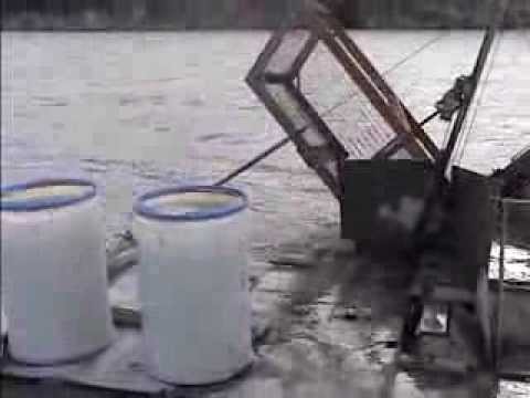 Fish wheel catching a Red salmon