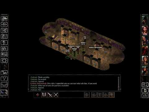 [PC] [Baldur's Gate 1 - EE]   How to revive companion in temple.