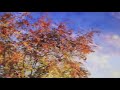 Как разгладить мятый китайский фотофон из винила с Алиэкспресс. Часть -2.