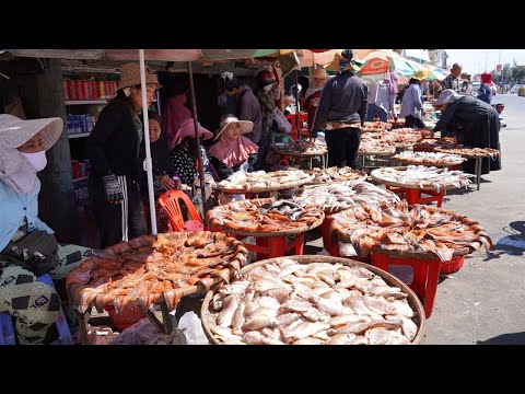 Cambodia Dry Fish Market Tours - Plenty Various Dry Fish, Dry Beef, Alive Fish & More Selling Here