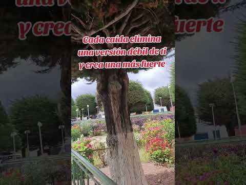 Carabuco La paz Bolivia #2026