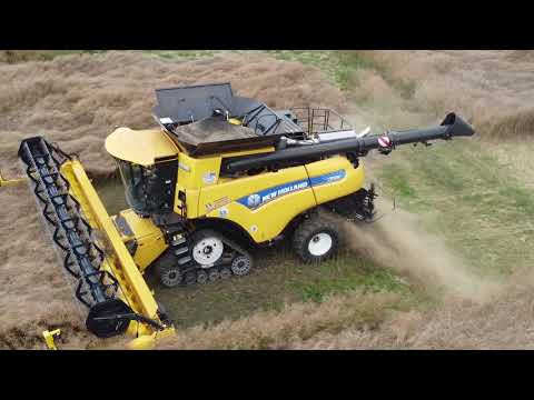 🚜 NEW HOLLAND CR 9.90 🚜 Raps Dreschen Ernte 2021 Drohnen Aufnahmen vom Mähdrescher und JOHN DEERE