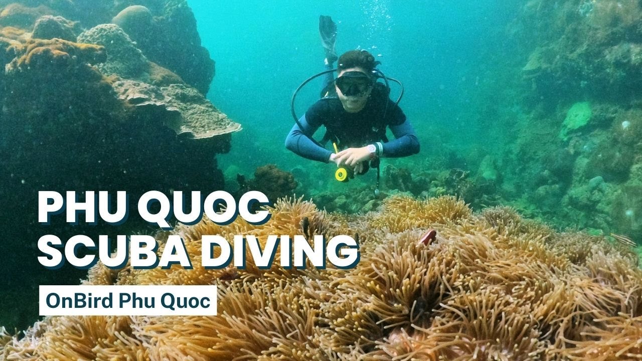 Experience a fascinating peek of Scuba Diving adventure.