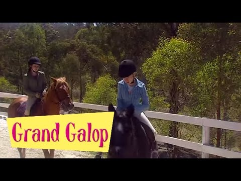 Grand Galop 217 - Drew, reviens | HD | Épisode Complet