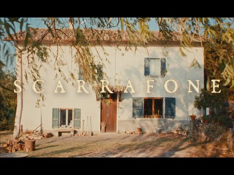 Scarrafone (2022) - Drama/Horror Film - Trailer - Tales of Blood (V of V)