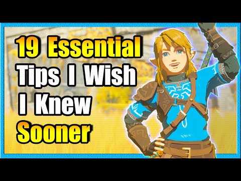 19 Absolutely Essential TotK Tips