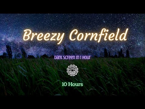 Sounds for Sleeping ⨀ Breezy Cornfield ⨀ Wind Ambiance ⨀ 10 Hours ⨀ Dark Screen in 1 Hour