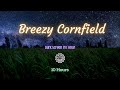 Sounds for Sleeping ⨀ Breezy Cornfield ⨀ Wind Ambiance ⨀ 10 Hours ⨀ Dark Screen in 1 Hour