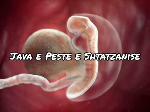 Java e Peste e Shtatzanise. Cfare ndodh gjate kesaj jave?