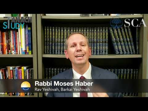 Tanach Study Presents: Sefer Study