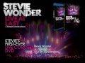 Stevie Wonder - Lately (Live At Last) 