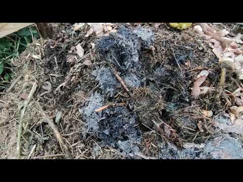 First turn of autumn compost and adding matter. NOTE: THE VIDEO IS WITHOUT IMAGE FROM 1:32