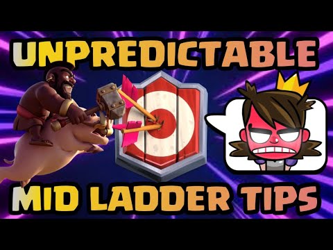 MID LADDER TIPS FOR 2.6 HOG CYCLE