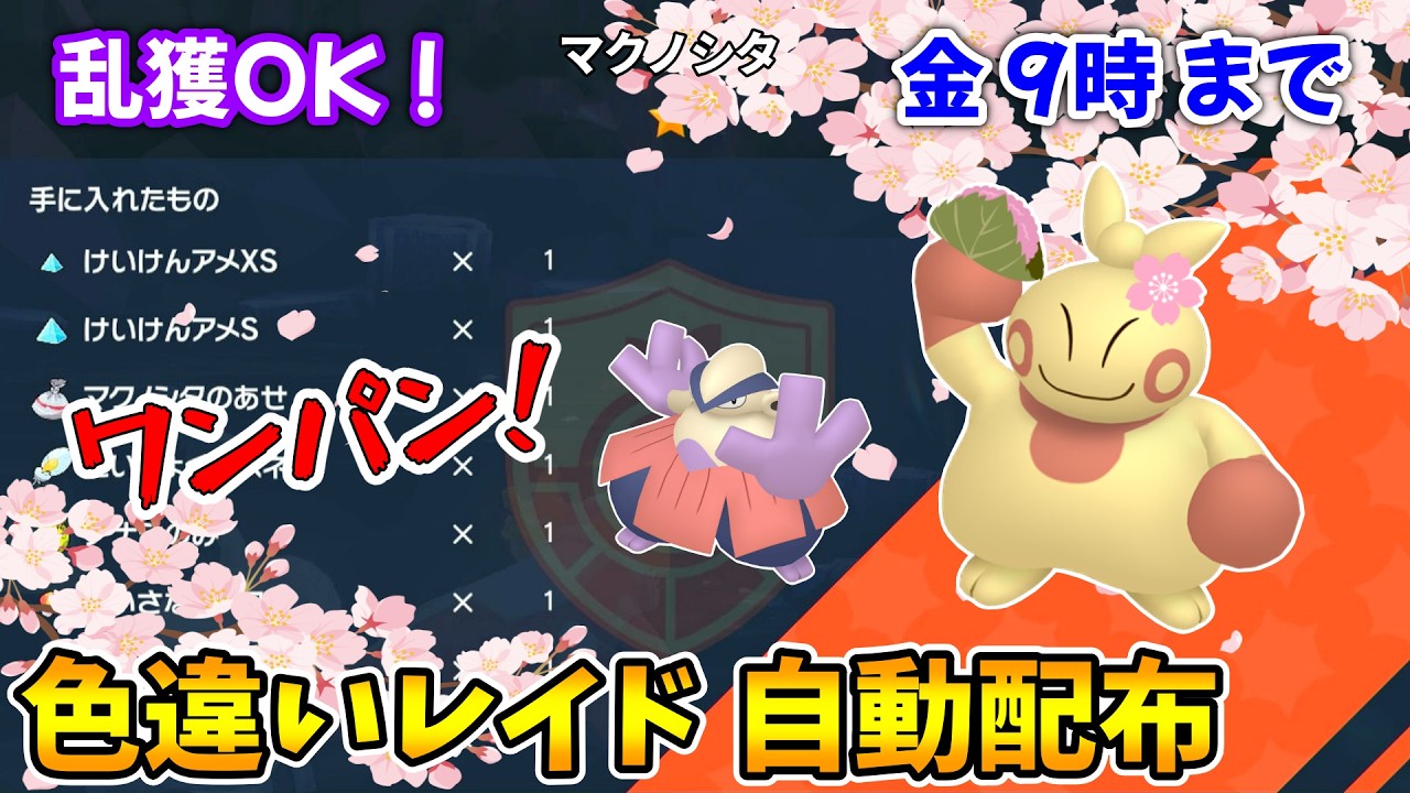 乱獲OK！マクノシタ色違いレイド自動配布会！【ポケモンSV】