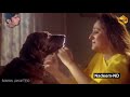Aaine Ke Sau Tukde Kar Ke Humne Dekhe Hai HD Kumar Sanu Maa 1992