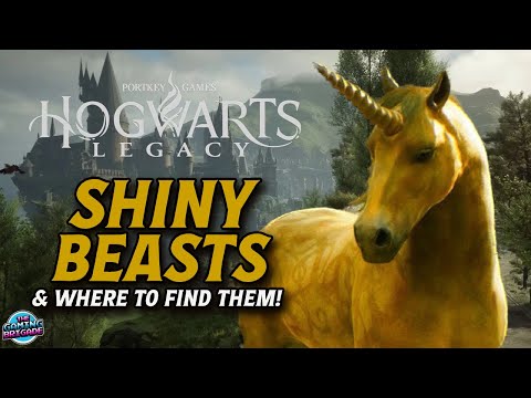 Hogwarts Legacy - BEST WAY TO FARM SHINY BEASTS! - Where To Find Den Locations - Tips & Tricks